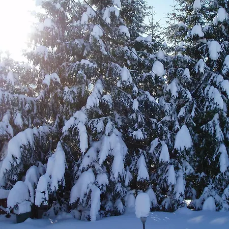 Armica 아파트 Moravice