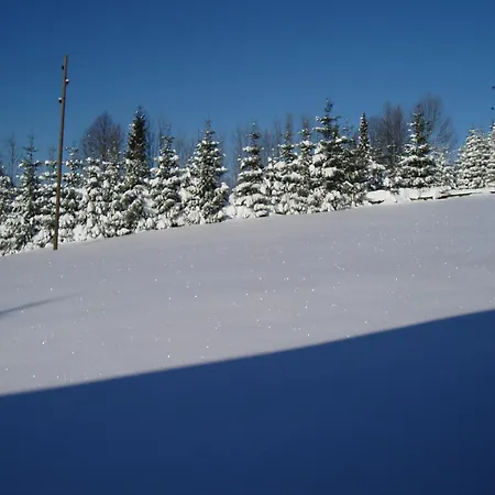 Armica Apartment Moravice