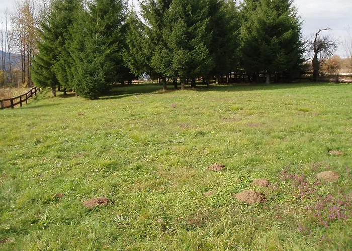 Apartman Armica
